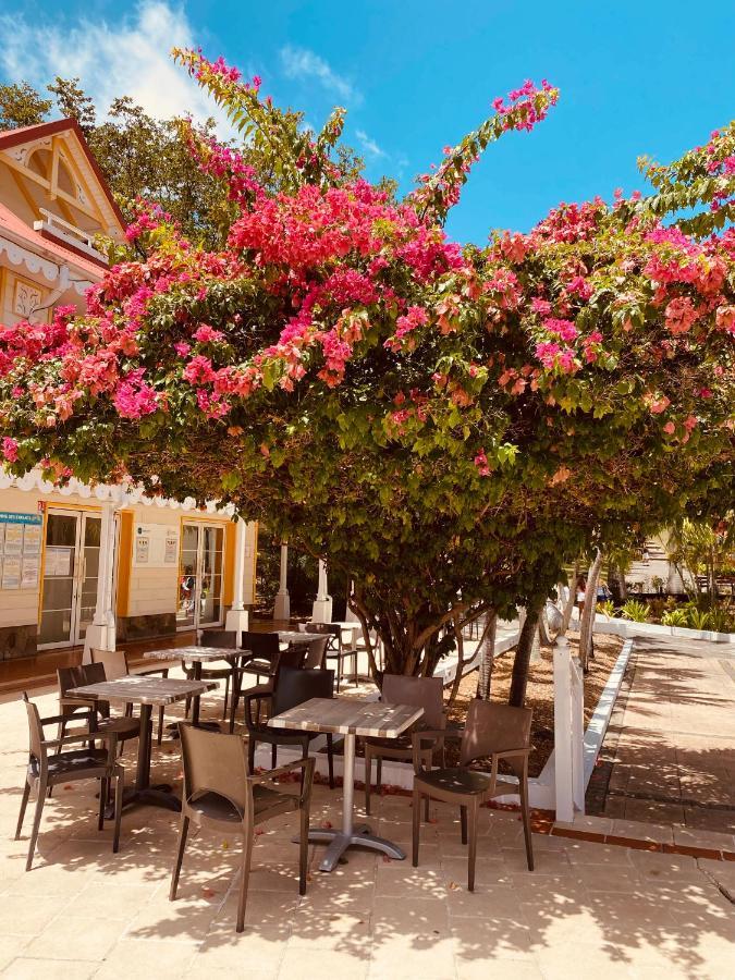 Tucum Home - Appart Au Village Vacances Sainte Anne المظهر الخارجي الصورة